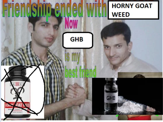 The “Friendship ended with Mudasir” meme: “Friendship ended with HORNY GOAT WEED. Now GHB is my best friend.”